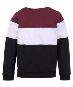 Bench. Sweatshirt in Colorblocking -Bench Verkaufsgeschäft b35a08d9 6489 5dfa a3a7 dd572ac9b550